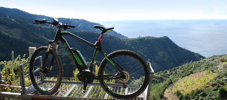 tourbike2